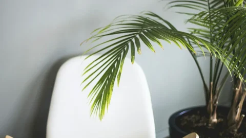 木质家居与工艺场景图